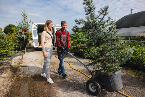 Best Tree Preservation Services  in North Ridgeville, OH